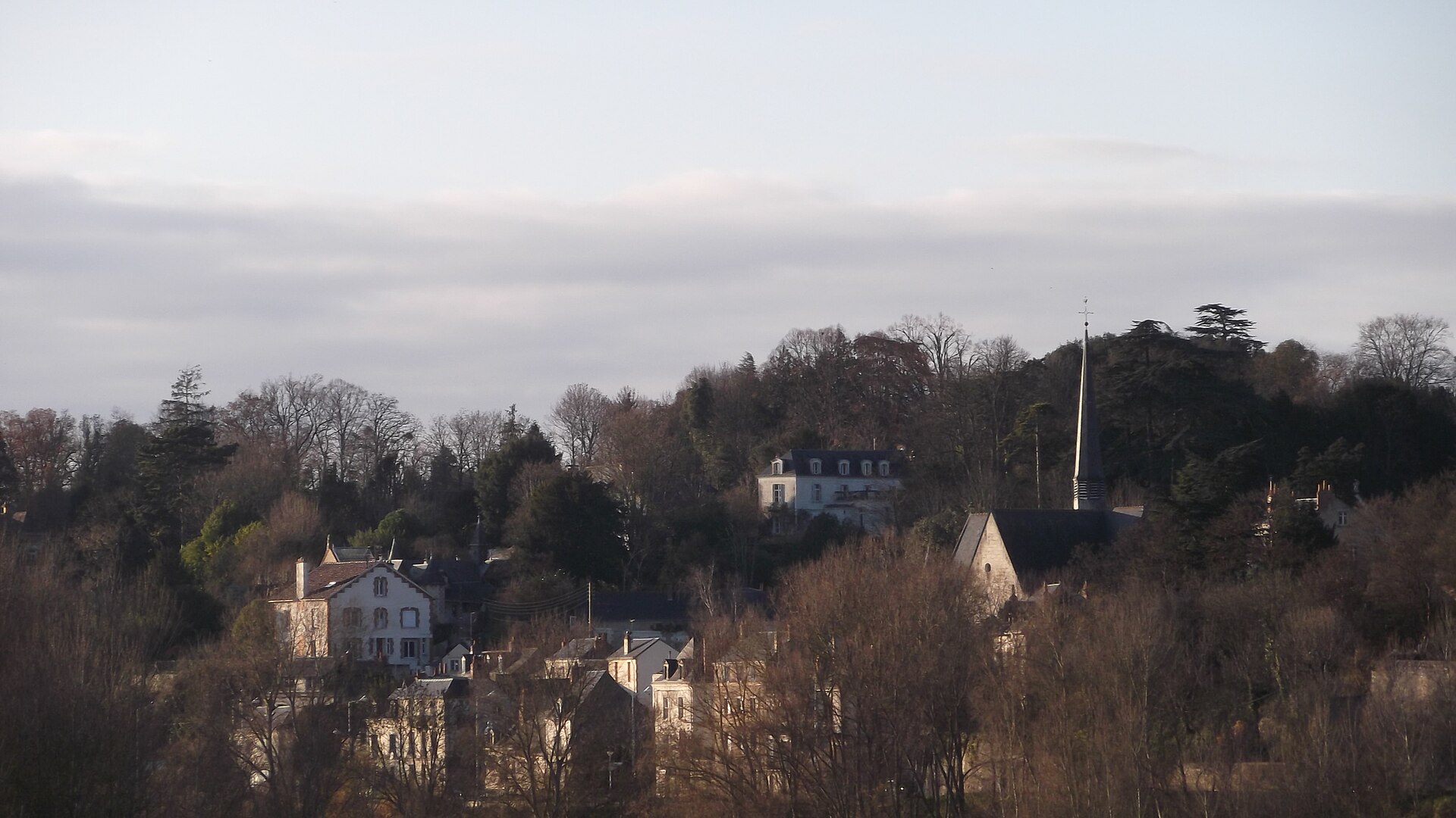 Vue de Saint-Cyr-sur-Loire