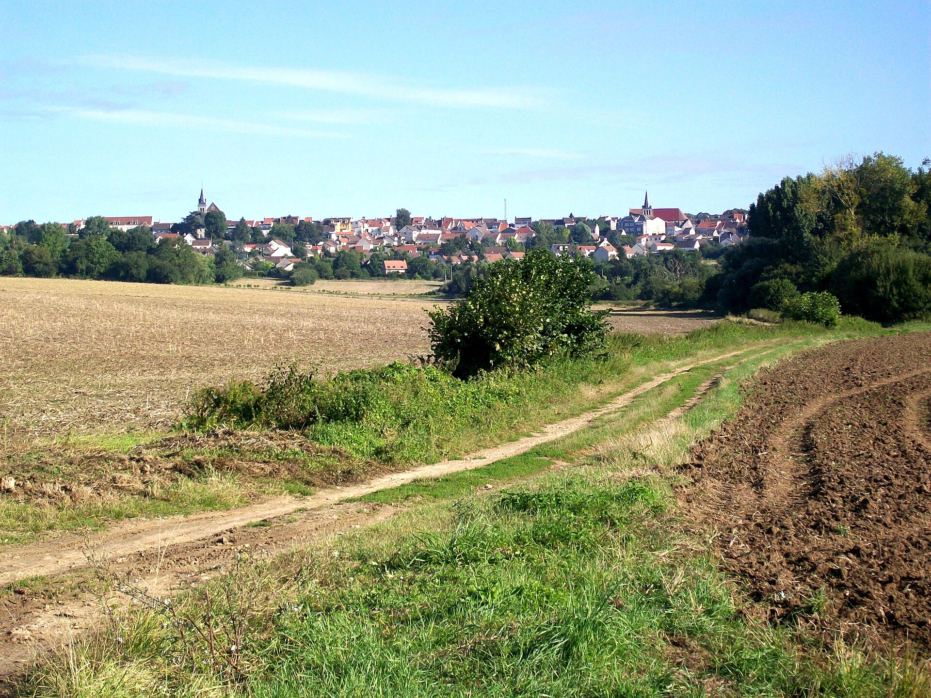 Vue de Dammartin-en-Goële
