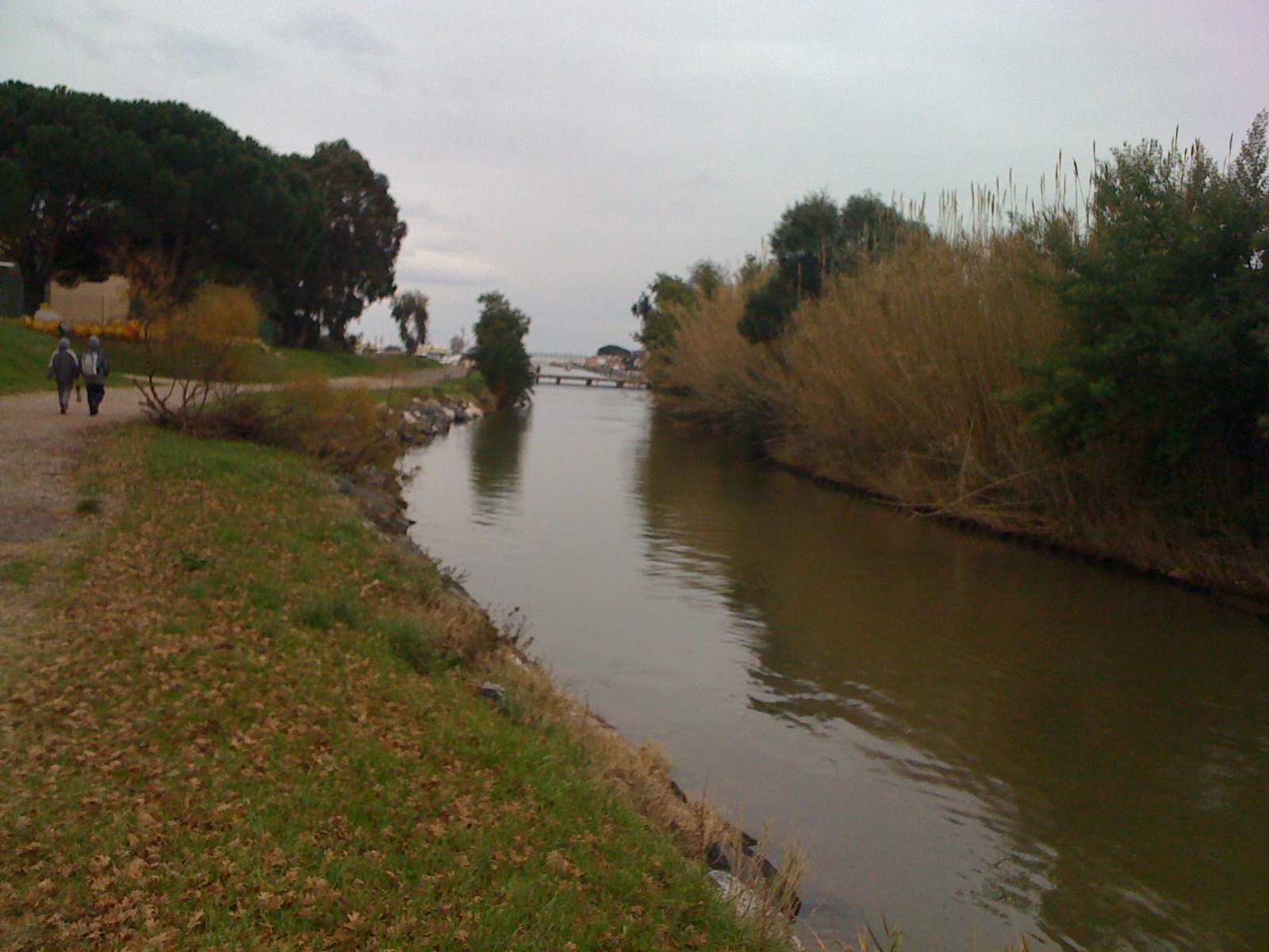 Vue de La Londe-les-Maures