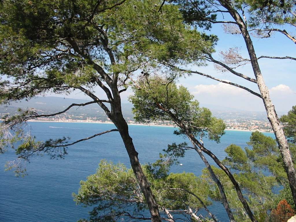 Vue de Saint-Cyr-sur-Mer